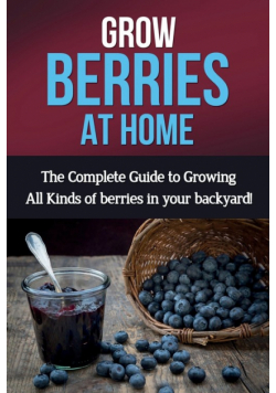 Grow Berries At Home
