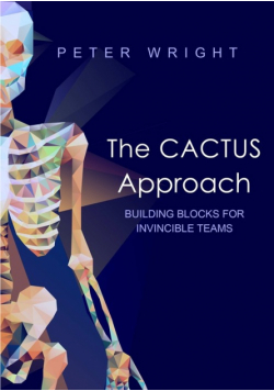 The Cactus Approach - Building blocks for invincible teams