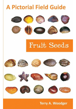Fruit Seeds