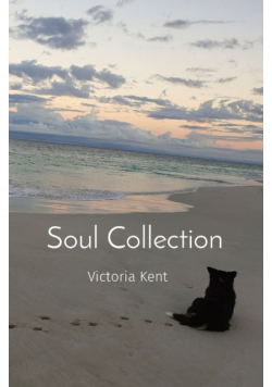 Soul Collection