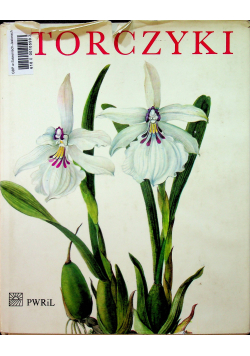 Storczyki