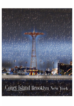 coney island Brooklyn New York  creative Journal