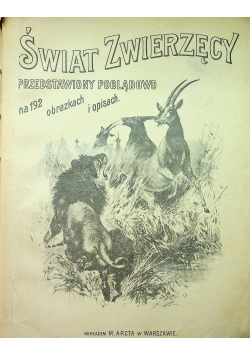 Świat zwierzęcy ok 1904r
