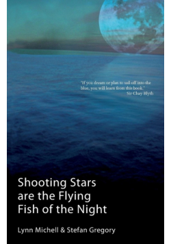 Shooting Stars Are The Flying Fish Of The Night