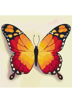 Malowanie po numerach - Pomarańczowy motyl 25x25cm