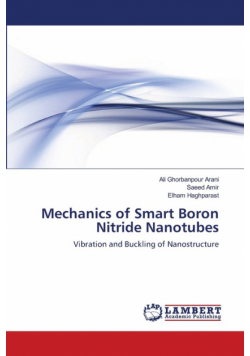 Mechanics of Smart   Boron Nitride Nanotubes