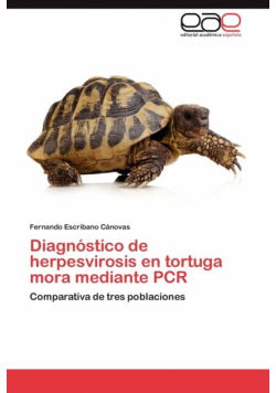 Diagnostico de Herpesvirosis En Tortuga Mora Mediante PCR