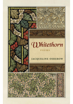 Whitethorn