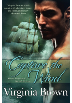 Capture The Wind