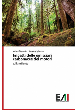 Impatti delle emissioni carbonacee dei motori