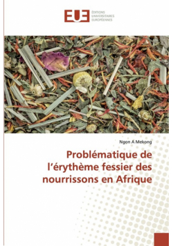 Problématique de l'érythème fessier des nourrissons en Afrique