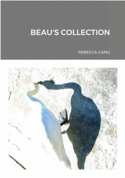 Beau's Collection