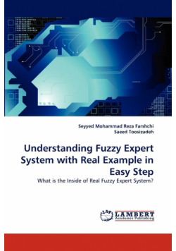 Understanding Fuzzy Expert System with Real Example in Easy Step