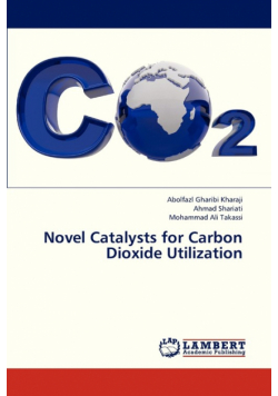 Novel Catalysts for Carbon Dioxide Utilization