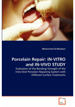 Porcelain Repair
