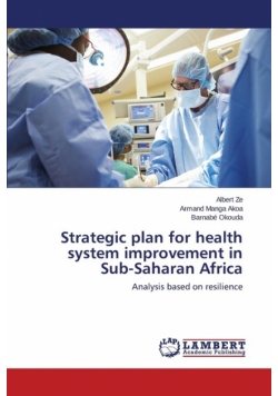 Strategic plan for health system improvement in Sub-Saharan Africa