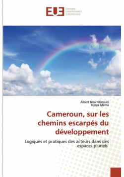 Cameroun, sur les chemins escarpés du développement