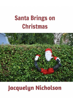 Santa brings on Christmas