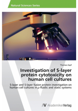 Investigation of S-layer protein cytotoxicity on human cell cultures