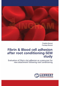 Fibrin & Blood cell adhesion after root conditioning-SEM study
