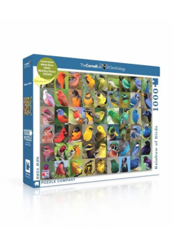 Puzzle 1000 Tęczowe ptaki