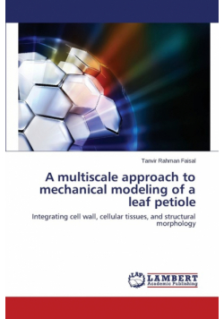 A multiscale approach to mechanical modeling of a leaf petiole