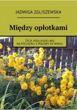 Między opłotkami
