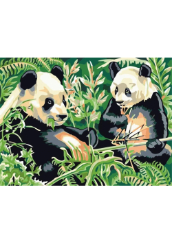 Malowanie po numerach - Pandy 30x40cm rama