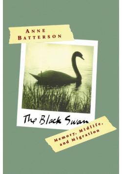 The Black Swan