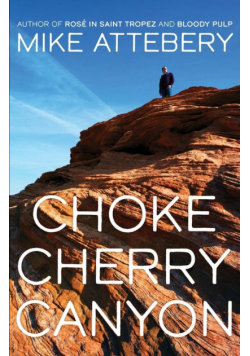 Chokecherry Canyon