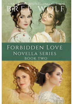 A Forbidden Love Novella Box Set Two