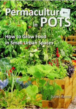 Permaculture in Pots: How to Grow Food in Small Urban Spaces
