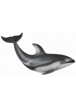 Delfin Pacyfic