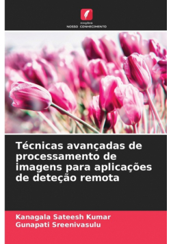 Técnicas avançadas de processamento de imagens para aplicações de deteção remota