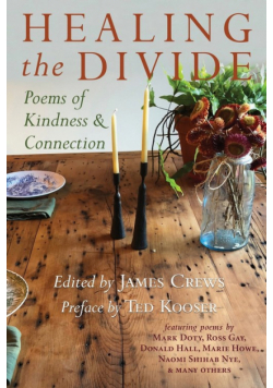 Healing the Divide