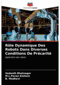 Rôle Dynamique Des Robots Dans Diverses Conditions De Précarité