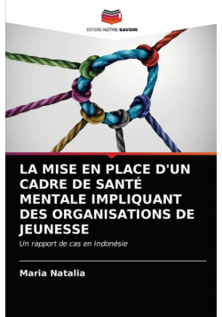La Mise En Place D'un Cadre De Santé Mentale Impliquant Des Organisations De Jeunesse