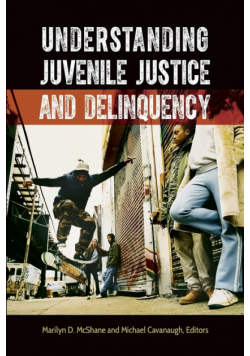 Understanding Juvenile Justice and Delinquency