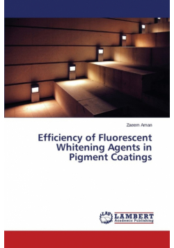 Efficiency of Fluorescent Whitening Agents in Pigment Coatings
