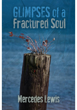 Glimpses of a Fractured Soul