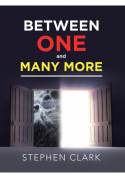 Between One and Many More