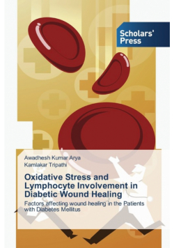 Oxidative Stress and Lymphocyte Involvement in Diabetic Wound Healing