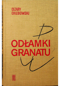 Odłamki granatu