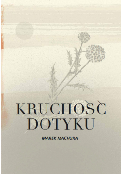 Kruchość dotyku