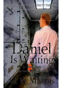 Daniel Is Waiting A Ghost Story
