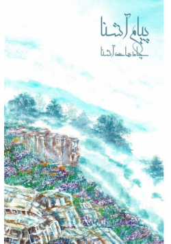 Payam Ashena