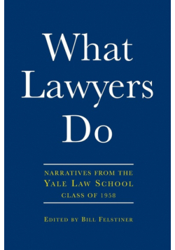 What Lawyers Do