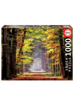 Puzzle 1000 Jesienny spacer G3