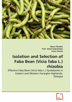 Isolation and Selection of Faba Bean (Vicia faba L.) rhizobia
