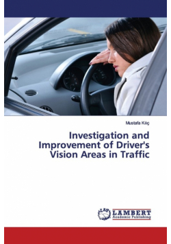 Investigation and Improvement of Driver's Vision Areas in Traffic